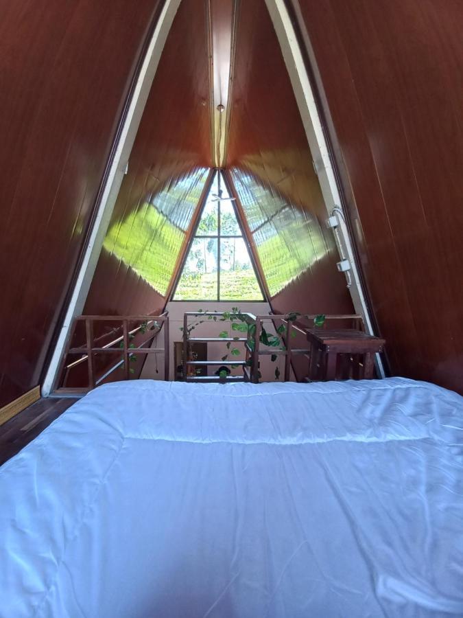 Lodge Agora