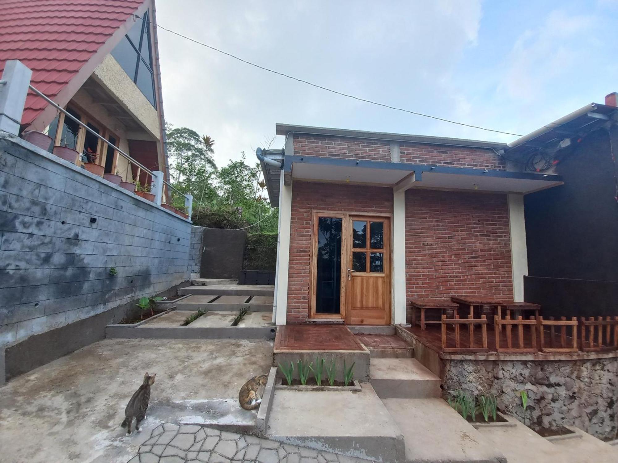 Agora Wonosobo